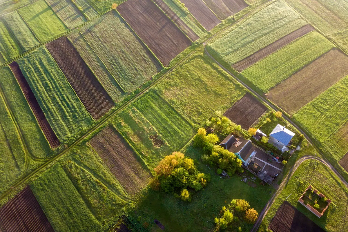 fields